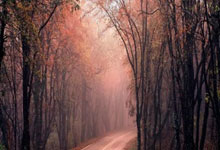 WTA印第安维尔斯赛.