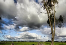 九游会官网:汤普森第10次完成单赛季投进200+三分,NBA历史中仅次于库里.