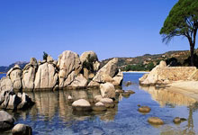 九游会官网：[天下足球]哈兰德“帽子戏法” 曼城逆转取胜.